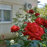 Apartments Meli